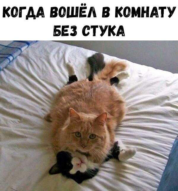 КОГ АА ВОШЁА В КОМНАТУ БЕЗ СТУКА