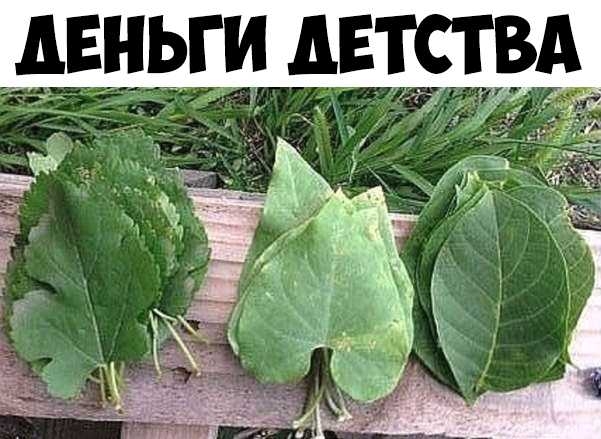 _ ТВ