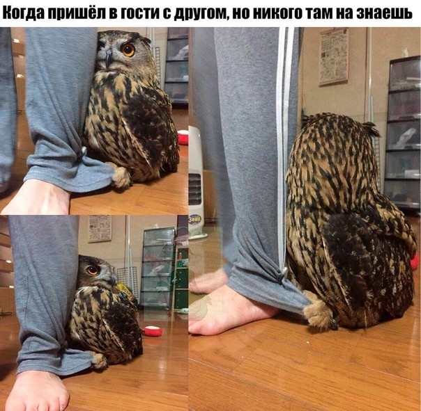 поща ППИШЁП В МПИ с дПУЮЩ ШШШ там на знаешь