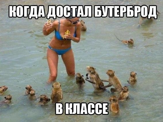ПЕШЕХПШМ фы
