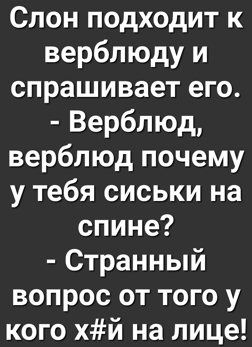 Слон подходит к верблюду и спрашивает его Верблюд верблюд почему у тебя сиськи на спине Странный вопрос от того у кого хй на лице