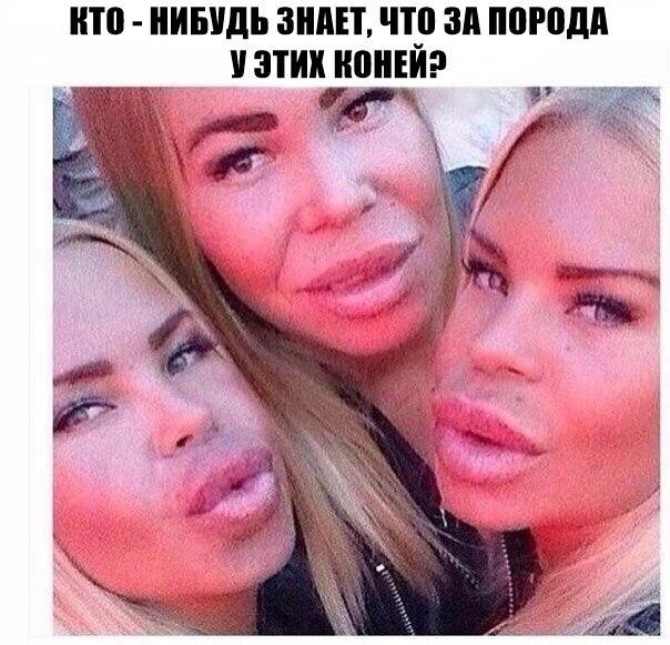 П0 НИБУДЬ ЗНАЕТ ЧП ЗА 0Р0дд ЭТИХ ЮЕЙР