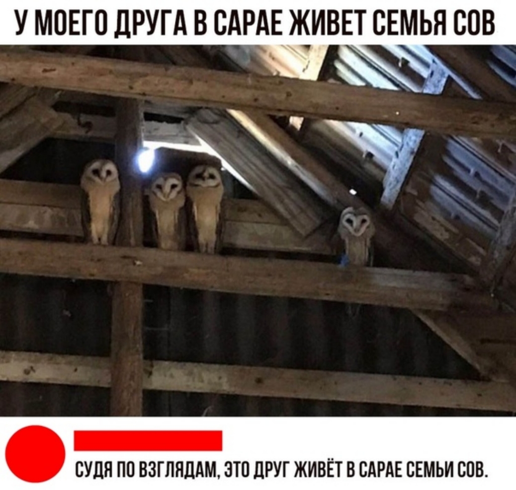 У МОЕГО ДРУГА В САРАЕ ЖИВЕТ СЕМЬЯ ЮВ СУПЯ ПО ВЗГЛЯДАМ ЭТП ДРУГ ЖИВЕТ В ВАРАЕ СЕМЬИ СПБ
