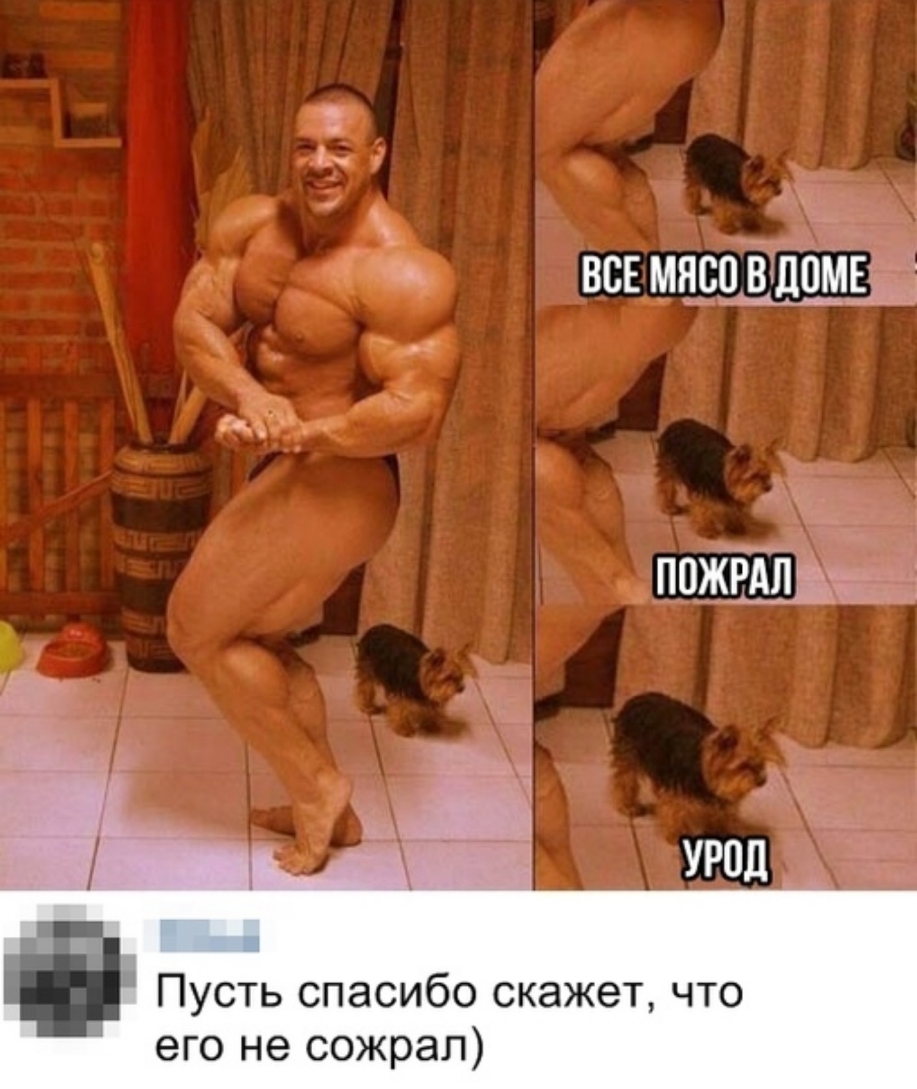 ВСЕМсцВЩПМЁЫ Ц ПОЖЁП _ Пусть спасибо скажет что его не сожрал