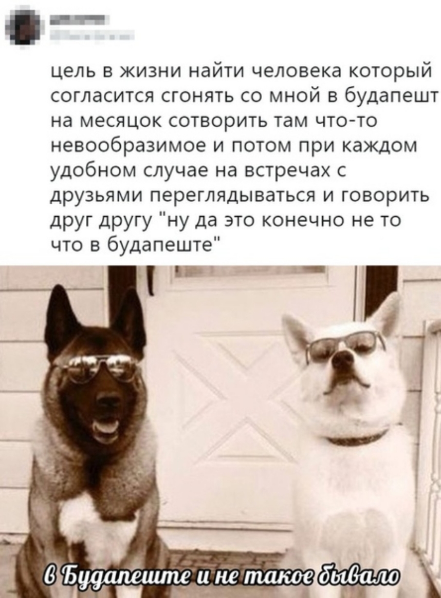 для ч цель в жизни найти человека который согласится сгонять со мной в будапешт на месяцок сотворить там что то невообразимое и потом при каждом удобном случае на встречах с друзьями переглядываться и говорить друг другу ну да это конечно не то что в будапеште _ _ __