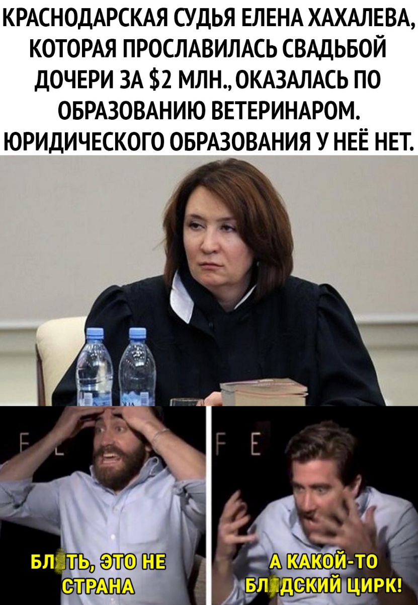 КРАСНОДАРСКАЯ СУДЬЯ ЕЛЕНА ХАХАЛЕВА КОТОРАЯ ПРОСЛАВИЛАСЬ СВАДЬБОЙ ДОЧЕРИ ЗА 2 МЛНОКАЗАЛАСЬ ПО ОБРАЗОВАНИЮ ВЕТЕРИНАРОМ ЮРИДИЧЕСКОГО ОБРАЗОВАНИЯ У НЕЁ НЕТ