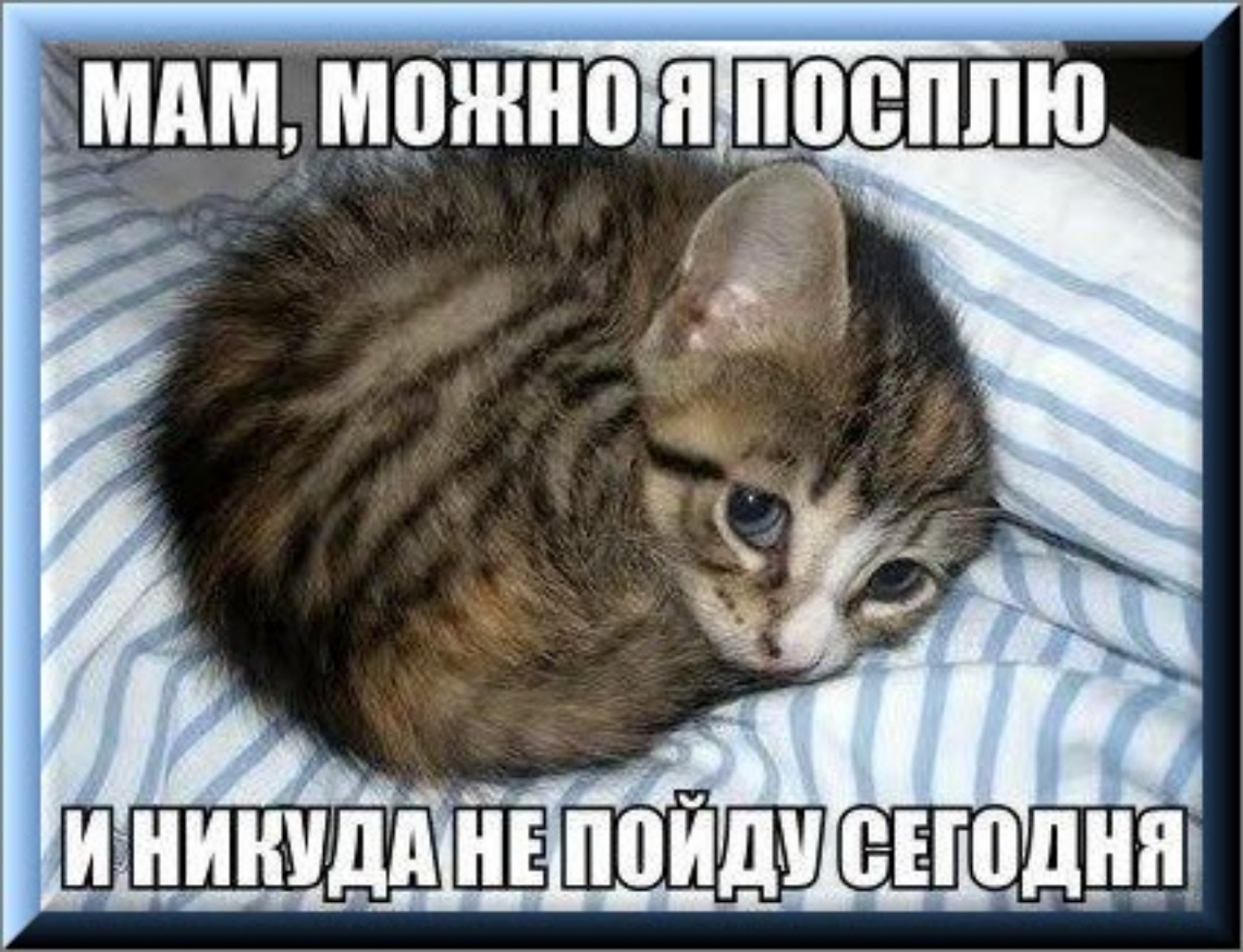 _ _ дгч чин ччв Ё _ __ъ ч Ё _ 7