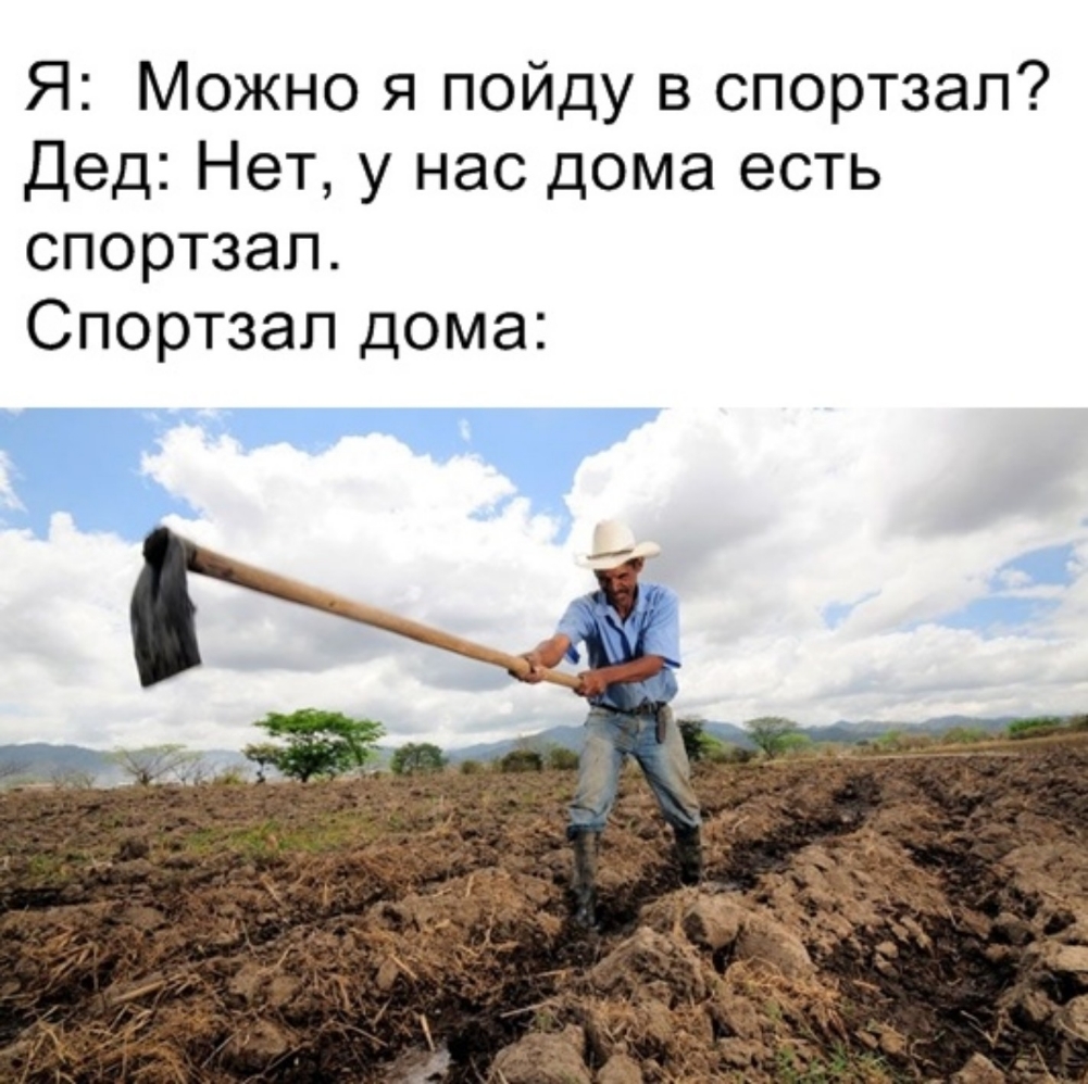 Я Можно я пойду в спортзал Дед Нет у нас дома есть спортзал Спортзал дома