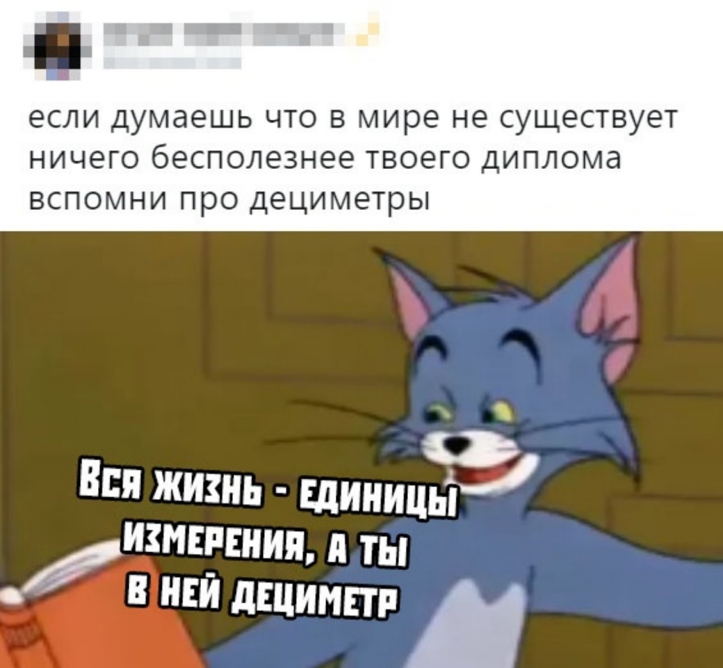 если думаешь ЧТО В мире не СУЩЕСТВУЭТ НИЧЭГО бесполезнее ТВОЕГО ДИПЛОМд ВСПОМНИ ПРО дециметры Вся жизнь Единица измерения ТЫ В Ш дшимт