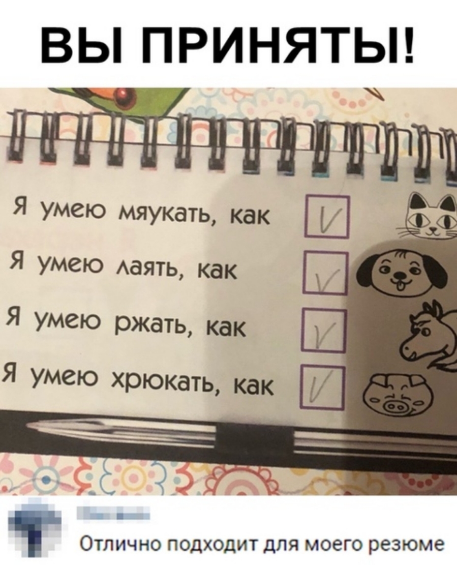 ВЫ ПРИНЯТЫ Я Умею Ааять как Я умею ржать как ОТЛИЧНО ПОДХОДИТ дЛЯ МОЕГО резюме