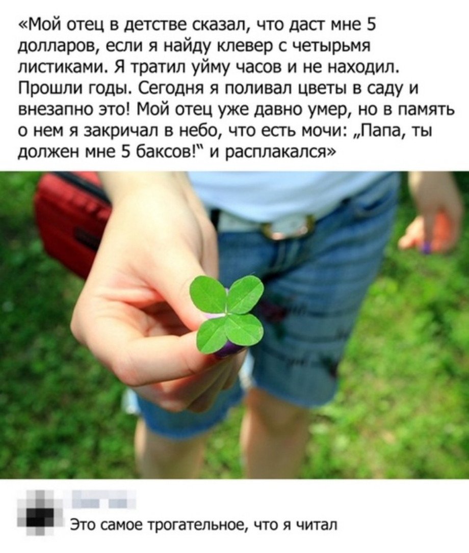 Мой отец в детстве сказал что дасг мне 5 долларов если я найду клевер с четырьмя листиками Я тратил уйму часов и не находил Прошли годы Сегодня я поливал цветы в саду и внезапно это Мой отец уже давно умер но в память о нем я закричал в небо что есть мочи Папа ты должен мне 5 баксов и расплакался ЭТО самое трогательное ЧТО Я читал