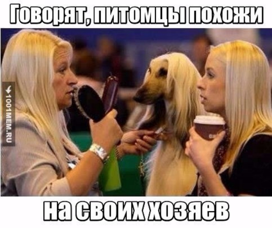 ПНШЗШ ЪОО ЬФц 11