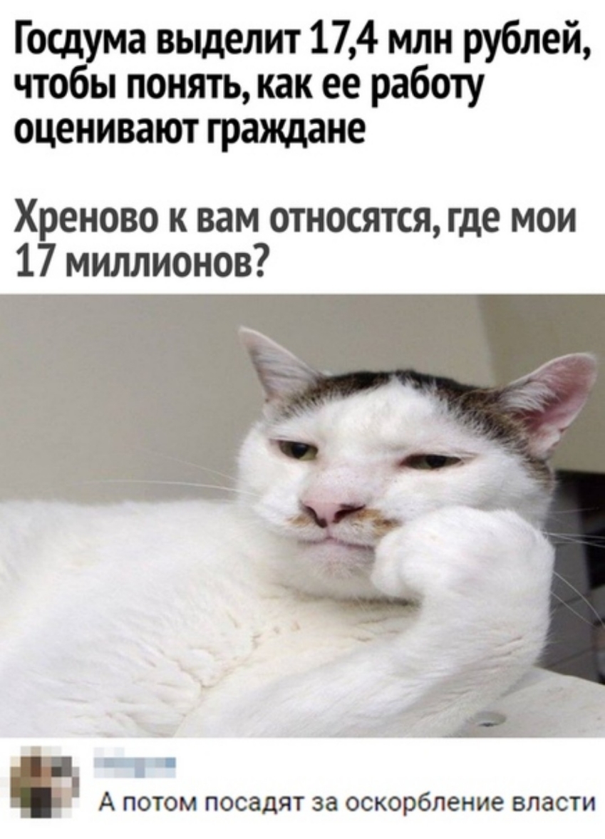 Госдбума выделит 174 млн рублей оы понять как ее работу оценивают граждане Хреново к вам относятся где мои 17 миллионов ч _ А ПОТОМ ПОСЗДЯТ за оскорбление ВЛЗСТИ