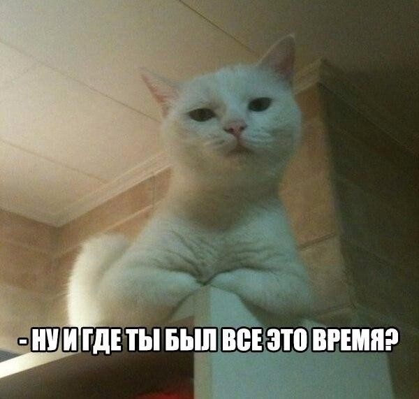 пЕШШ ГдЕТЫ БЬЦПЁЁЁЫШ ВРЕМЯ