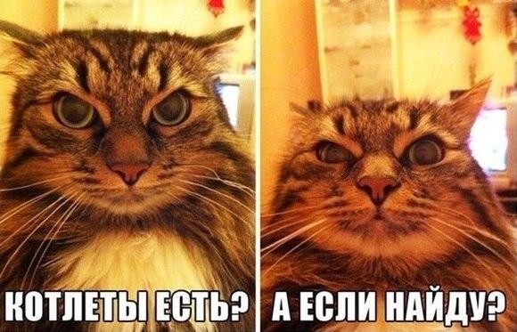 Ь нотііншімвщіээ А юпцндйдиэ