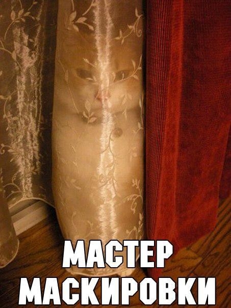 МАСТЕР МАВКИЮВКИ