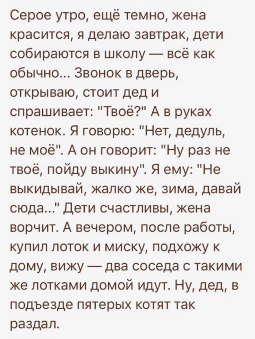 Серое утро ещё темно жена красится я делаю завтрак дети собираются в школу всё как обычно Звонок в дверь открываю стоит дед и спрашивает Твоё А в руках котенок Я говорю Нет дедуль не моё А он говорит Ну раз не твоё пойду выкину Я ему Не выкидывай жалко же зима давай сюда Дети счастливы жена ворчит А вечером после работы купил поток и миску подхожу к дому вижу два соседа с такими же лотками домой и