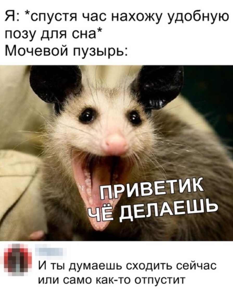 Я спустя час нахожу удобную позу для сна Мочевой пузырь И ты думаешь сходить сейчас или само как то отпустит