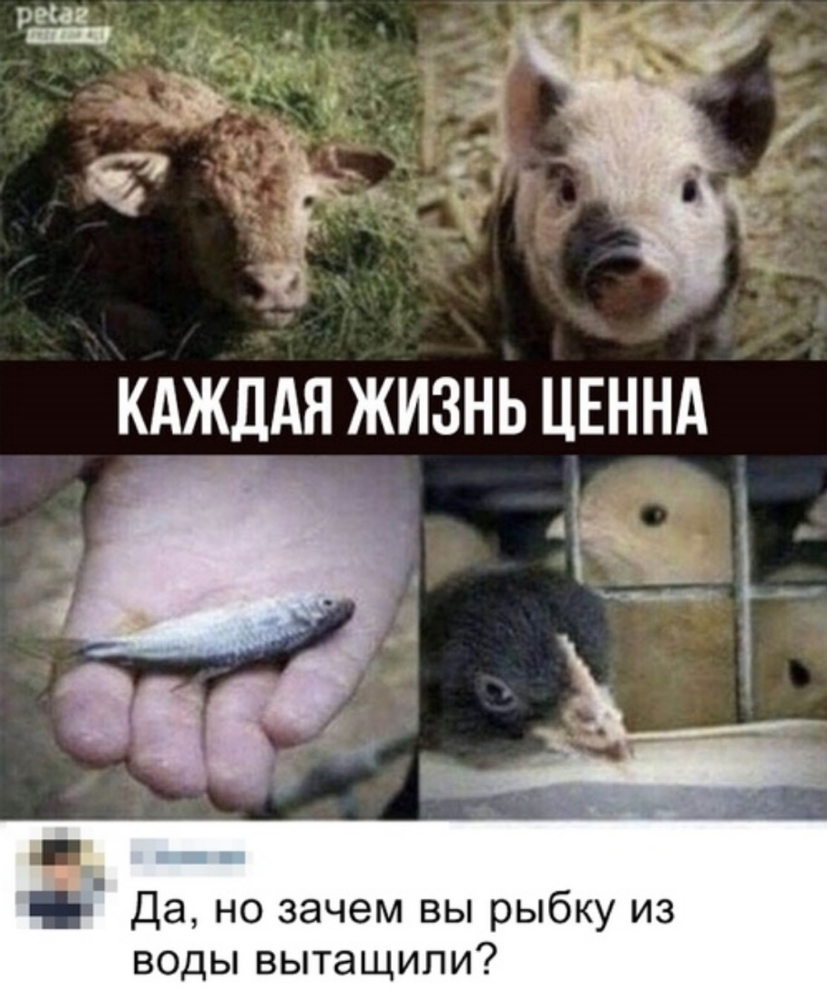 Да но зачем вы рыбку из воды вытащили
