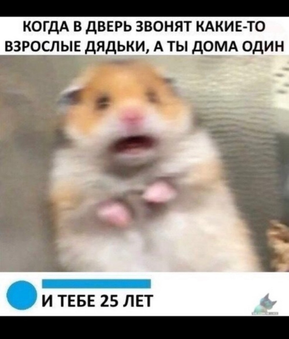 КОГДА В ДВЕРЬ ЗВОНЯТ КАКИЕ ТО ВЗРОСЛЫЕ ДЯДЬКИ А ТЫ ДОМА ОДИН с и И ТЕБЕ 25 ЛЕТ