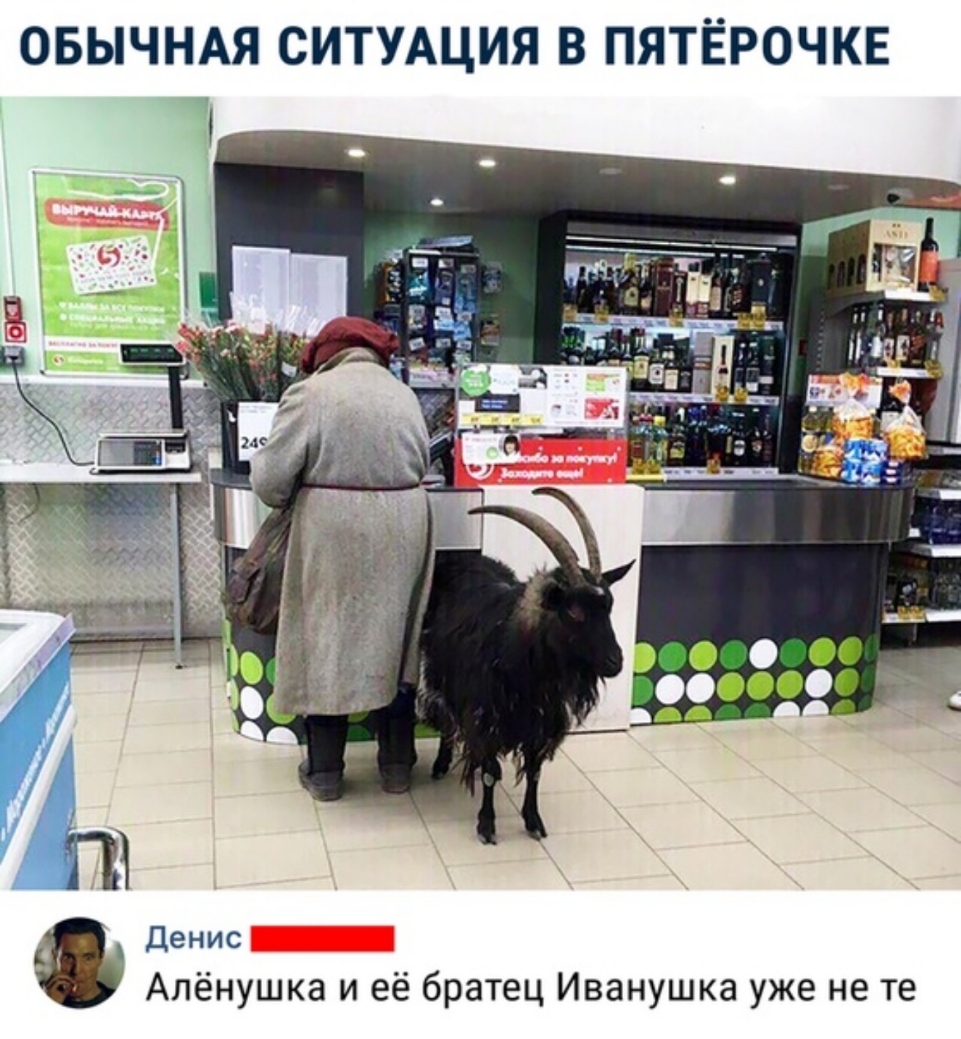 ОБЫЧНАЯ СИТУАЦИЯ В ПЯТЁРОЧКЕ Денис Алёнушка и её братец Иванушка уже не те