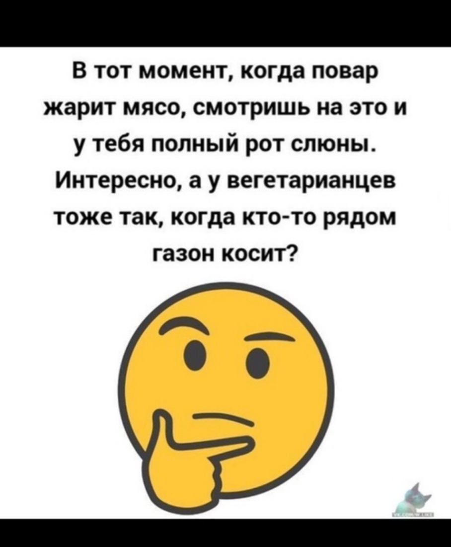 В тот момент когда повар жарит мясо смотришь на это и у тебя попный рот слюны Интересно а у вегетарианцев тоже так когда кто то рядом газон косит