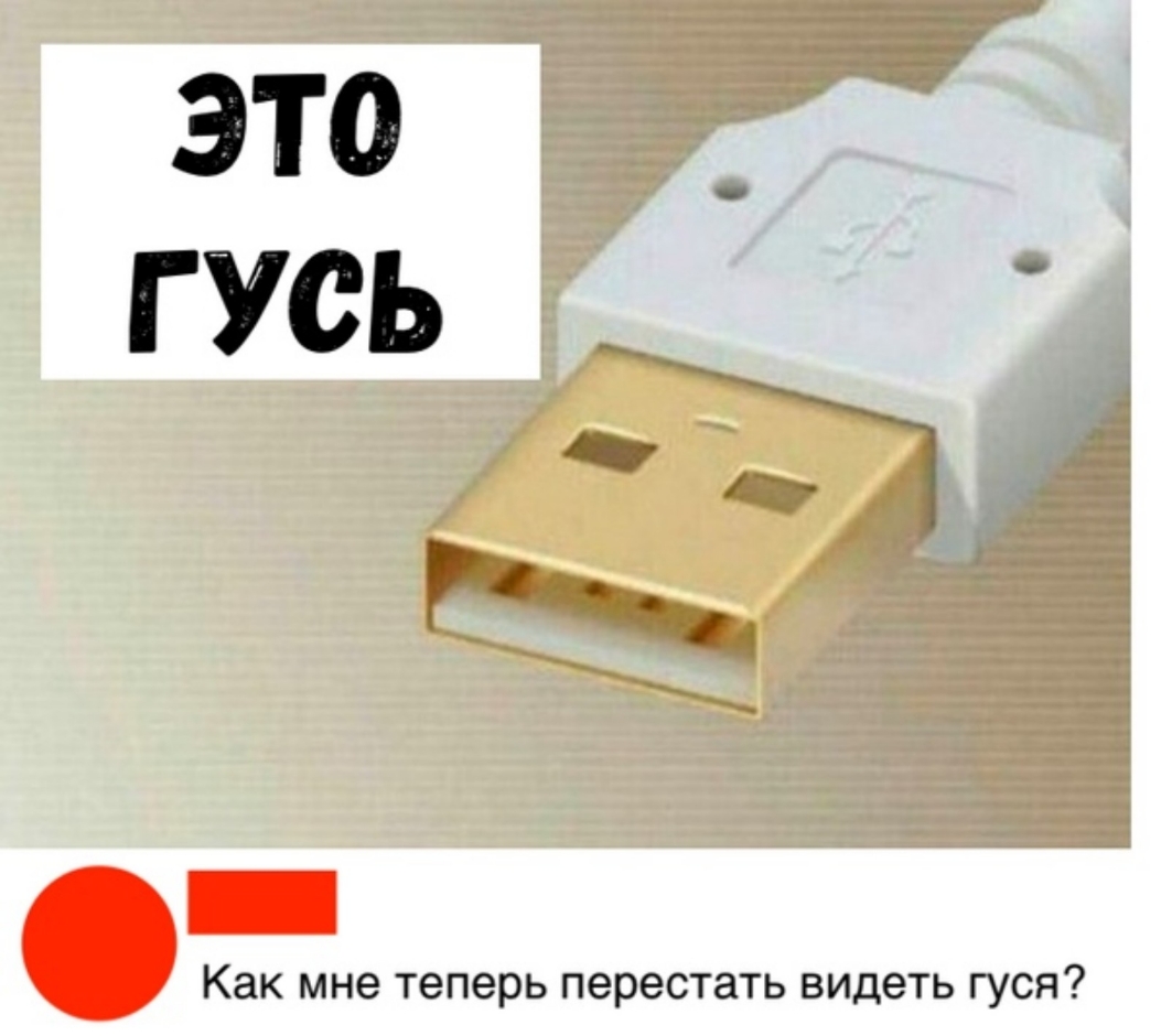 Как мне теперь перестать видеть гуся
