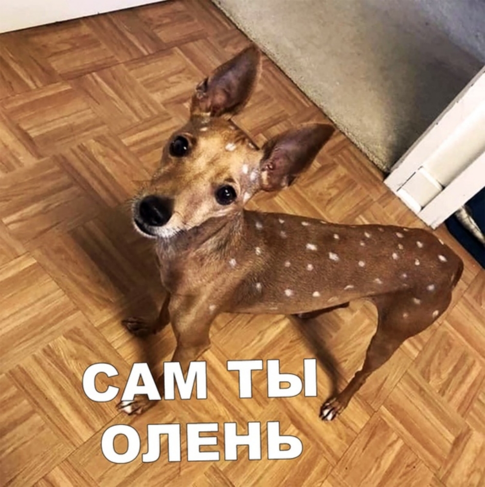 6лвнь