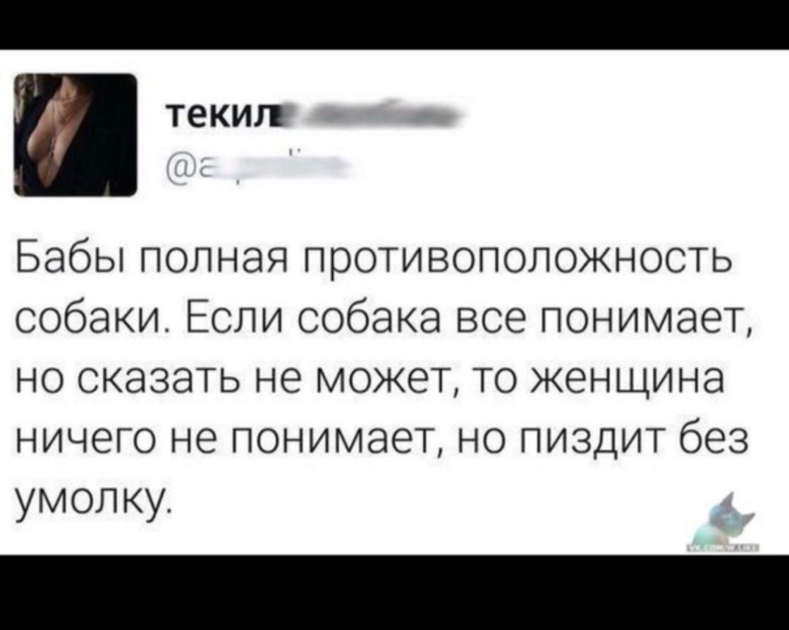 Бабы полная противоположность собаки Если собака все понимает но сказать не может то женщина ничего не понимает но пиздит без умолку