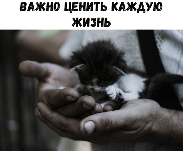 вджно ценить кдждую _ жизнь