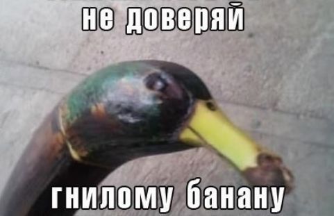 Ю ШШВШШШШ
