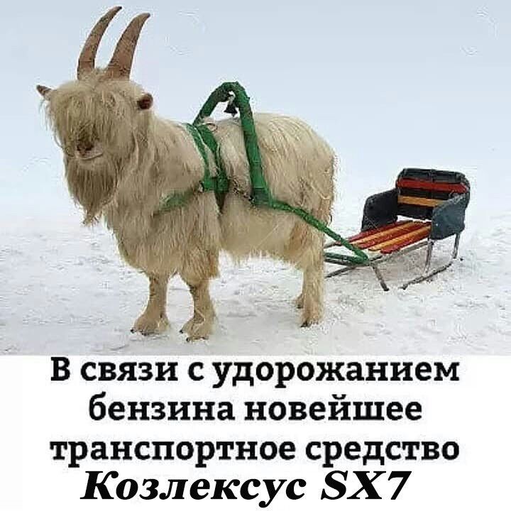 в связи с удорожанием бензина новейшее транспортное средство Козлексус БХ 7