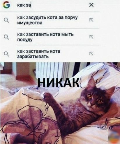 э мкад Х пк засудить коп трчу иммита ц знати кот мыть посуду о как заставить кои прибстышь НШЩЁ