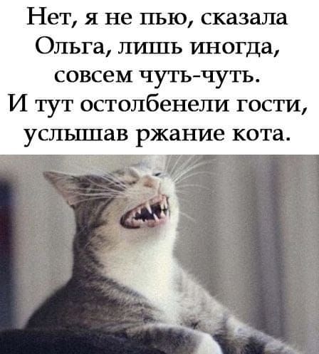 Нет я не пью сказала Ольга лшпъ иногда совсем чутьчуть И тут остолбенели гости услъппав ржание кота
