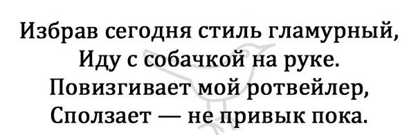 Избрав сегодня стиль гламурный Иду с собачкой на руке Повизгивает мой ротвейлер Сползает не привык пока