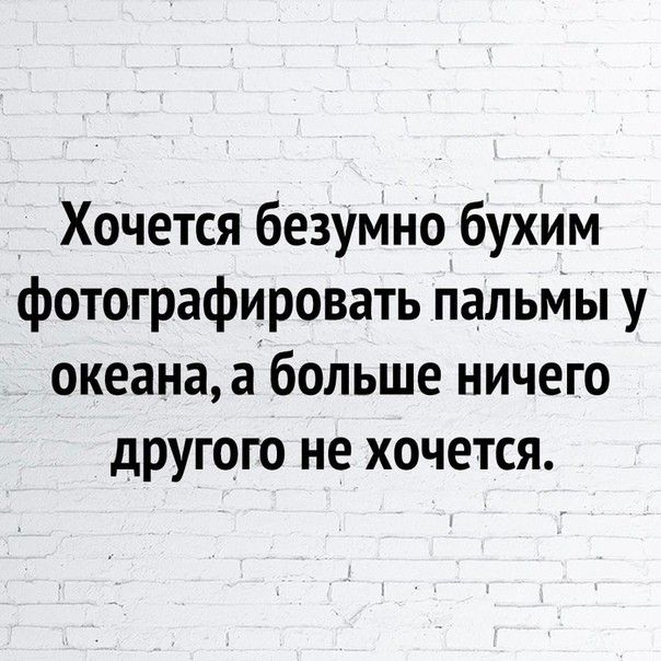 Хочется безумно бухим фотографировать пальМы у океанааубольше ничего другою не хочется