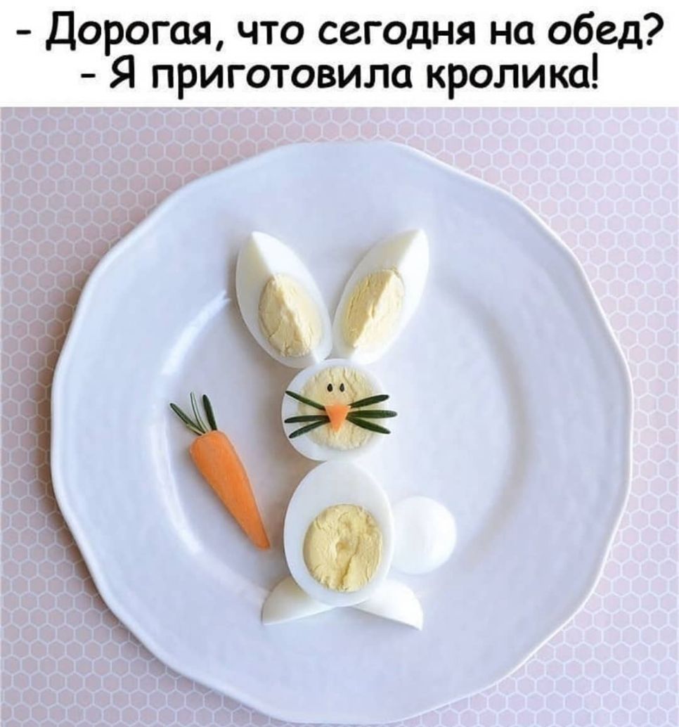 Дорогая что сегодня на обед Я приготовила кролика
