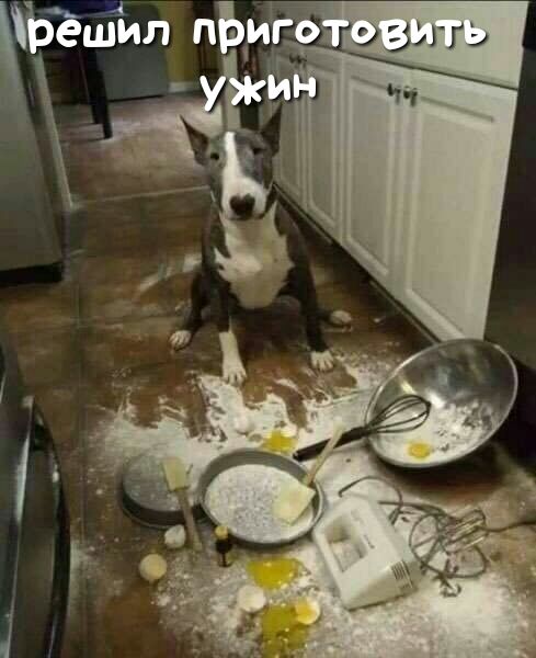 Ъёшил пЬиЪ