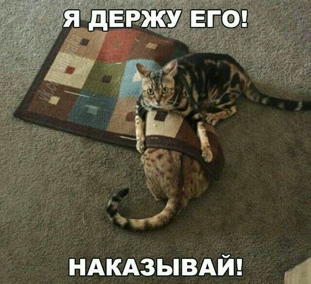 031 Й НАКАЗЫ ВА