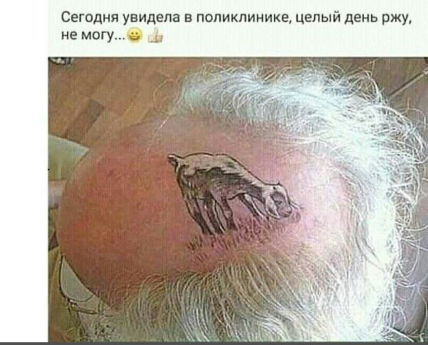 Сегодня увидела в поликлинике целый день ржу немогу