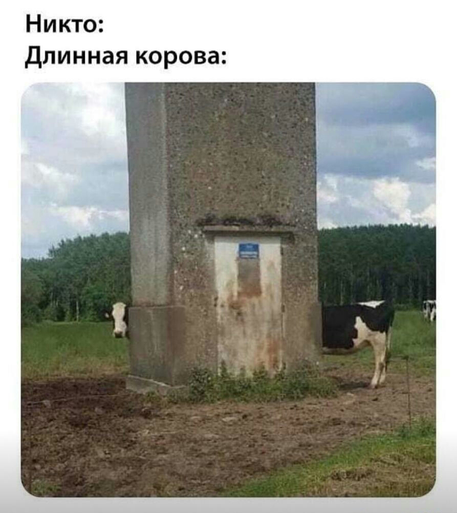 Никто длинная корова