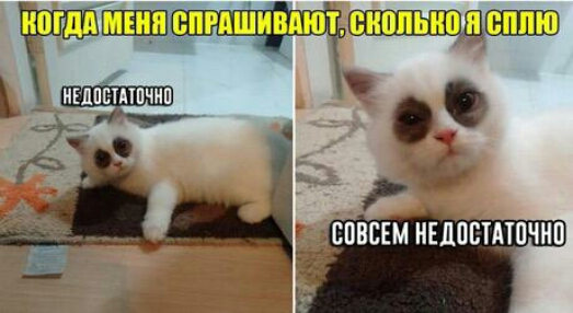 7 тшэгт ЧХШШ нЕлпв тпчип фщ спвсвм нвдпвтдтпчнп
