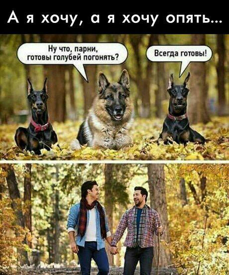 А я хочу а я хочу опять Нучю парии гошвы голубей пития ш да 7 з Г к _ ЗН