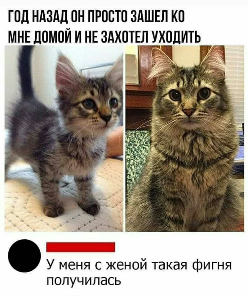 ГОЛ НАЗАД ОН ПРОСТО ЗАШЕЛ КО МНЕ ЛОМПЙ И НЕ ЗАХПТЕЛ УХОДИТЬ У меня с женой такая фигня получилась