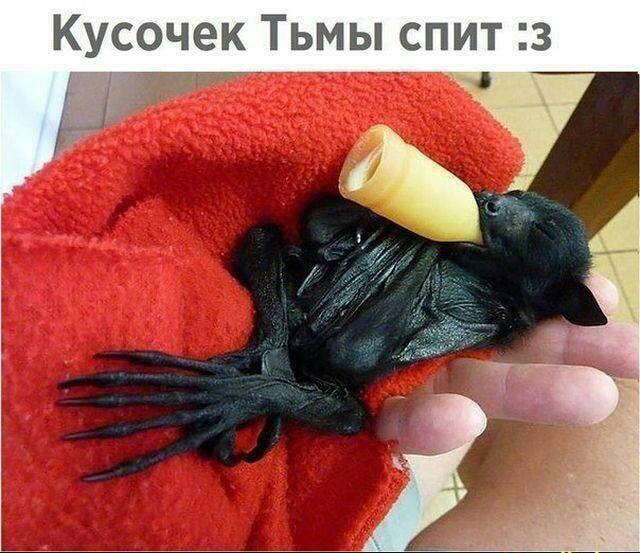 Кусочек Тьмы спит 3