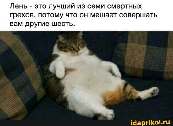 Лень это лучший из семи смертных грехов потому что он мешает совершать вам другие шесть