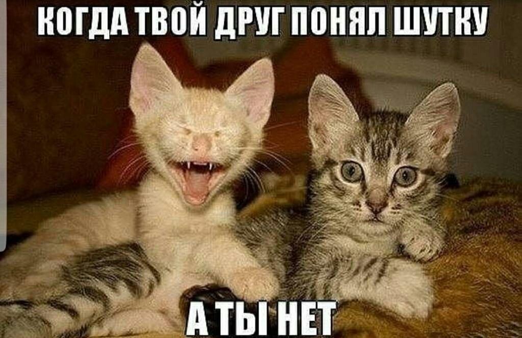 НПГДА ТВПЙ ДРУГ ПШШП ШИН