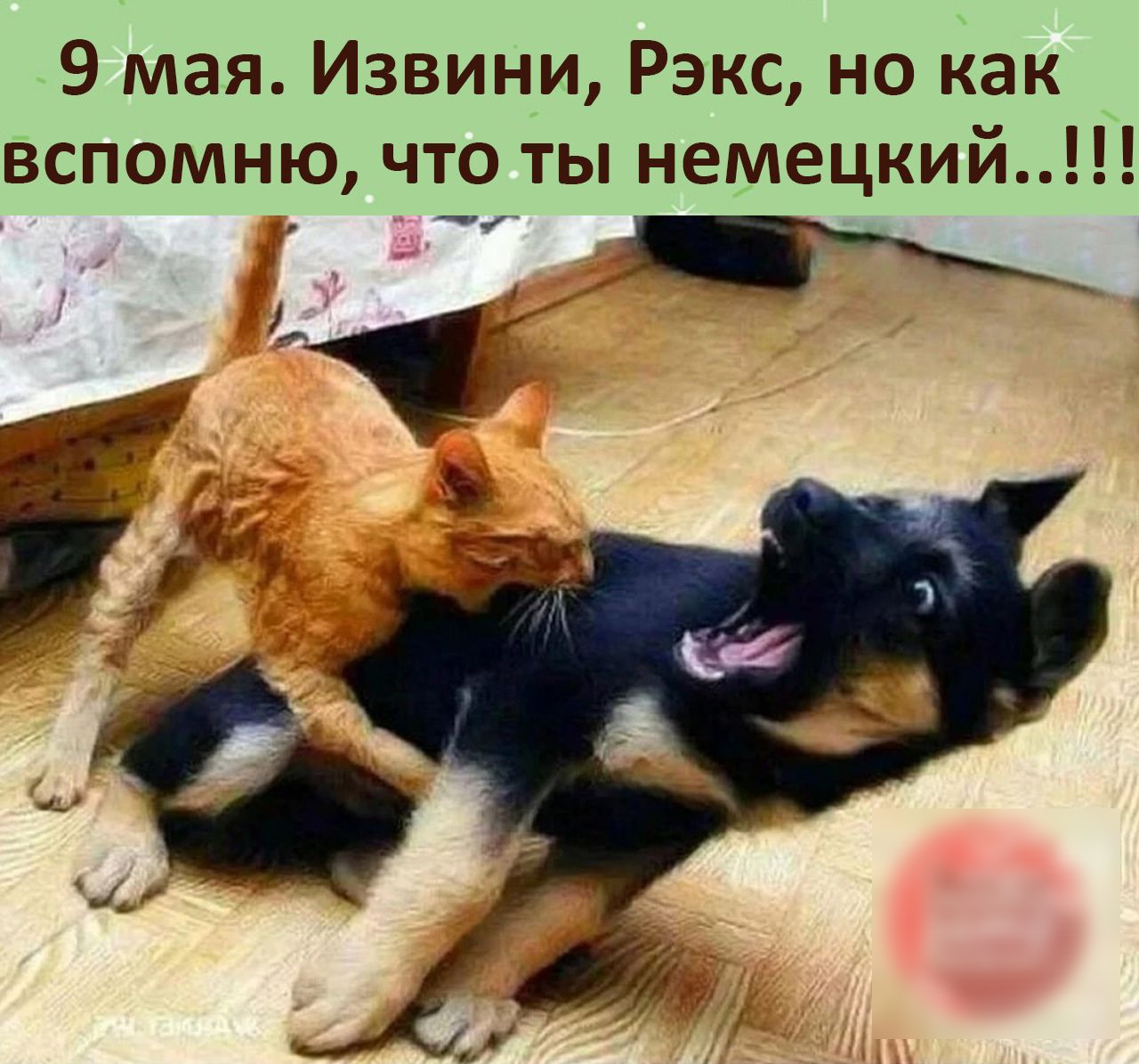 9 мая Извини Рэкс но как вспомню что ты немецкий А