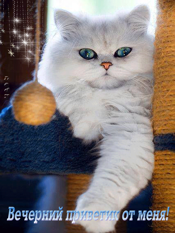 Вечерний