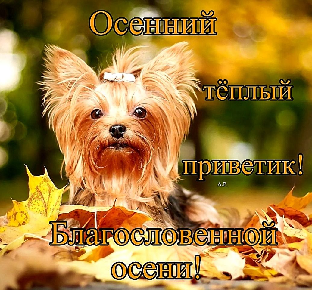 _ т5ёёэ гт аъ і ЁЁЪГБНШ